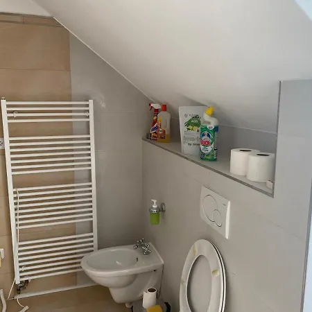 Retreat With Private Koi Garden Διαμέρισμα Velke Opatovice