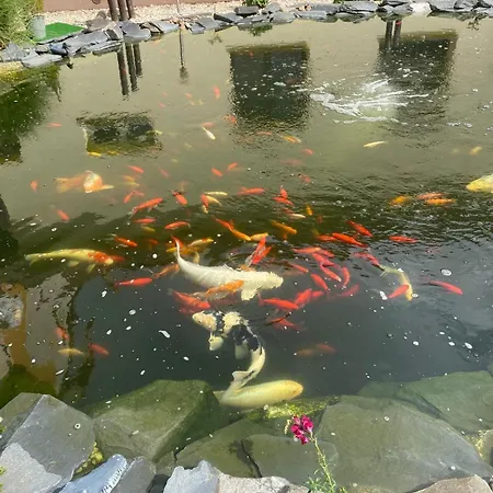 Retreat With Private Koi Garden Διαμέρισμα *